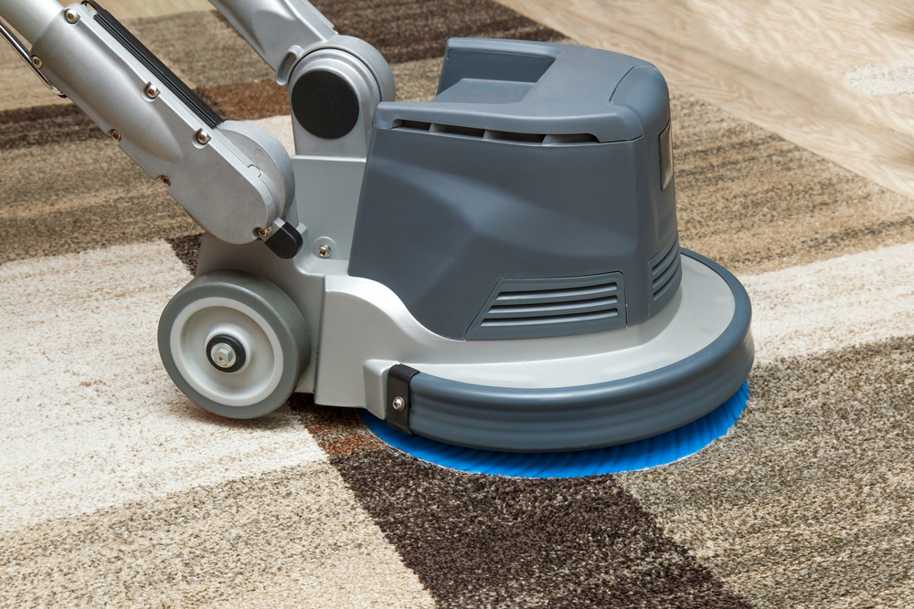 carpet cleaning